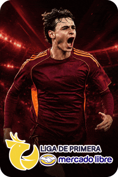 División Profesional de Bolivia (โบลิเวีย)